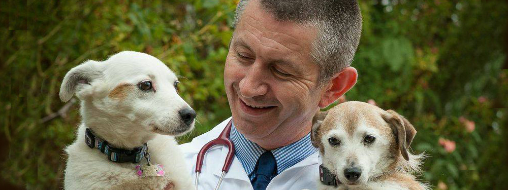 Dr. Adrian M. Russell